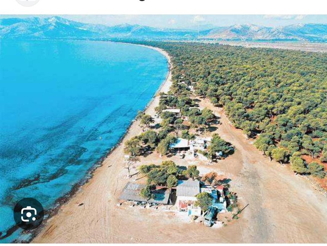Villa Constangie Μαραθώνας Εξωτερικό φωτογραφία